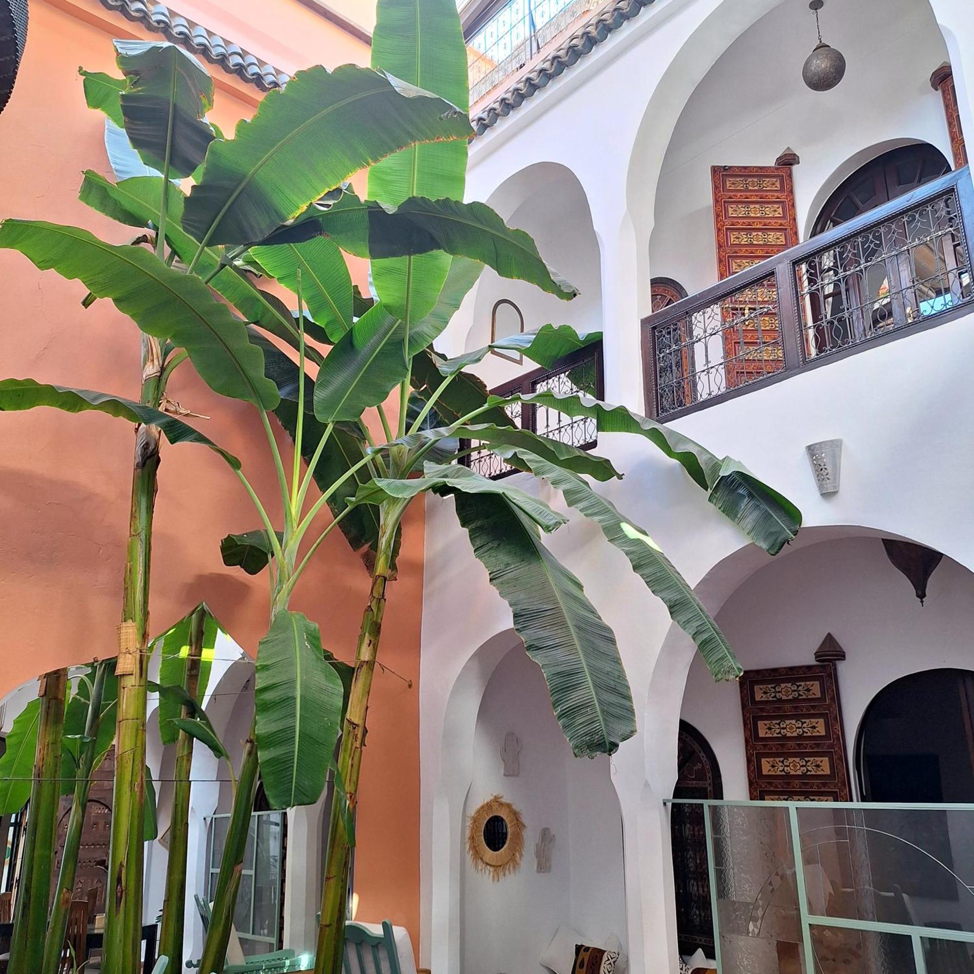Riad El Grably Marrakesh Exterior photo